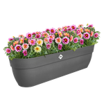 vibia campana easy hanger XXL 70cm anthracite